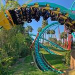 Busch Gardens Tampa Bay