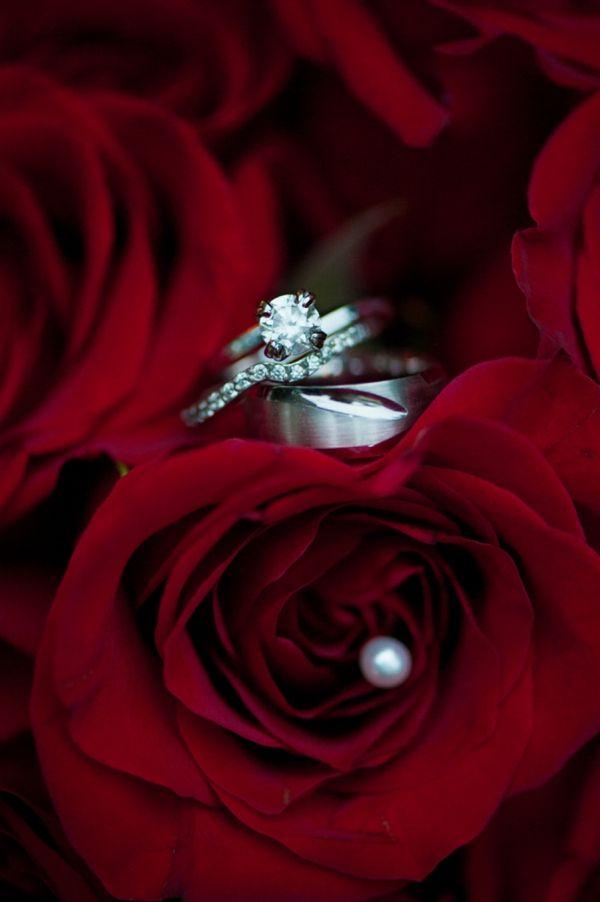 The Wedding Website of Alyssa Emelio and Andrew Halper