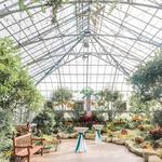 Krohn Conservatory