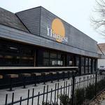 Harvest Pizzeria Dublin