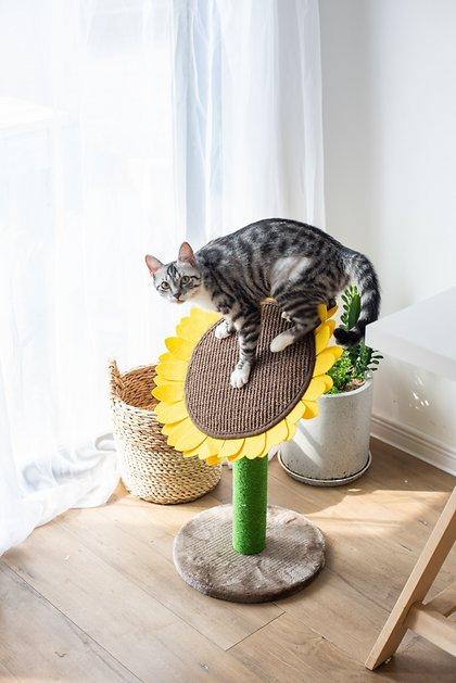 CATRY Sunflower 23.2-in Sisal Cat Scratching Post with Toy - Chewy.com
