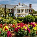 Boone Hall Plantation & Gardens