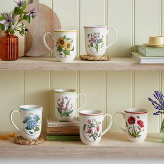 Botanic Garden Meadow Assorted Tulip Beaker, Set of 6