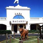Casa Bacardi