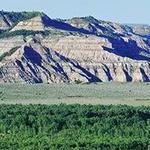 Teddy Rosevelt National Park