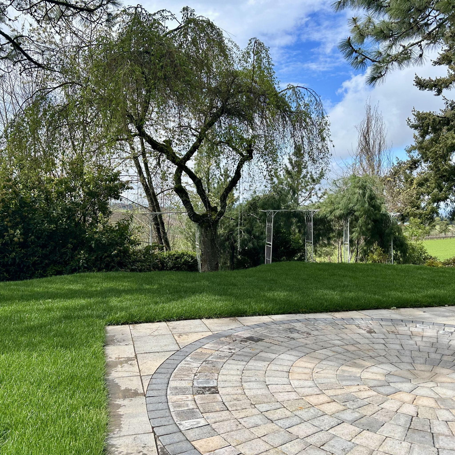 Dance floor will go here.