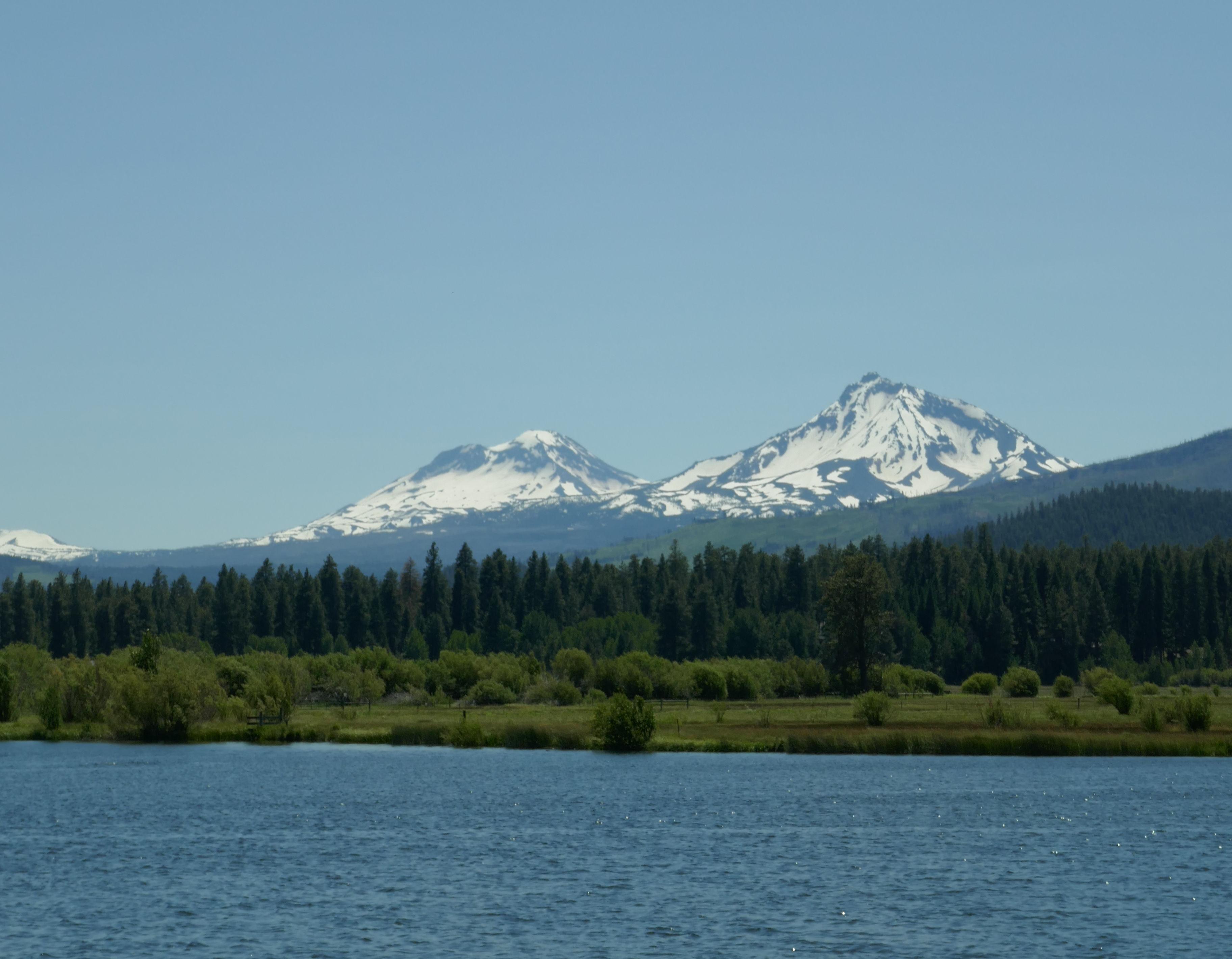 The Wedding Website of Raquel Voltolini and Stevie Coury