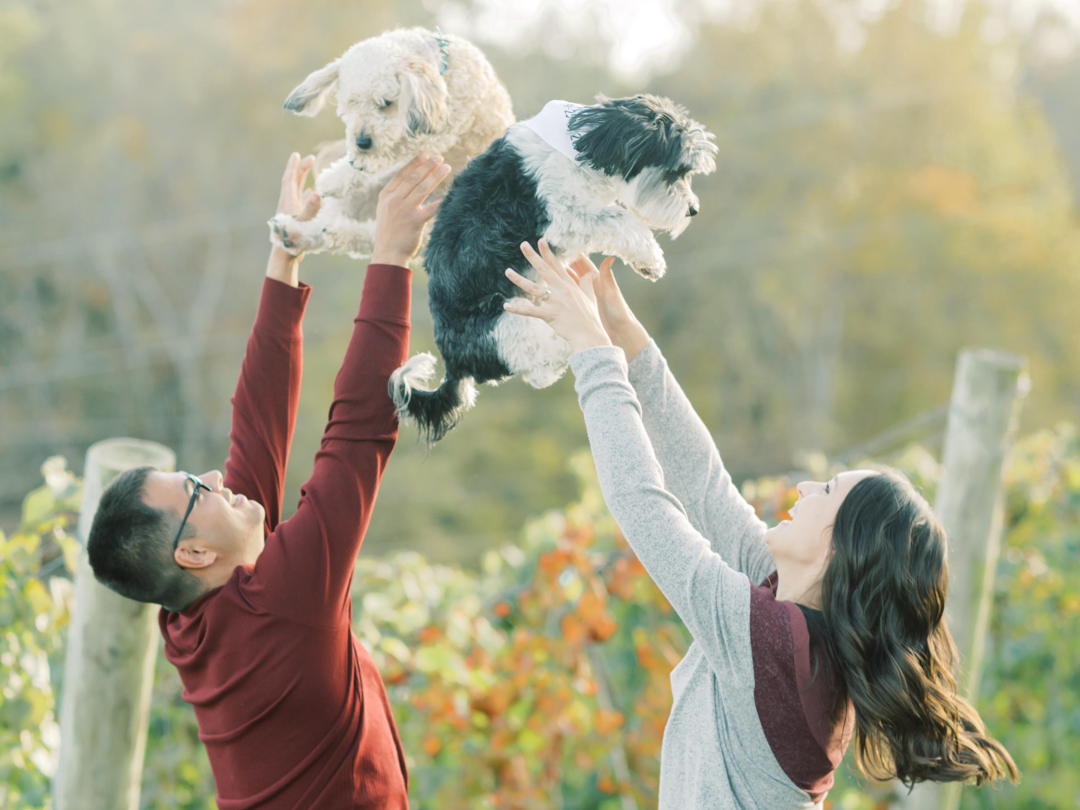 The Wedding Website of Kayla Fey and Dylan Harris