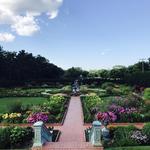 Munsinger Gardens