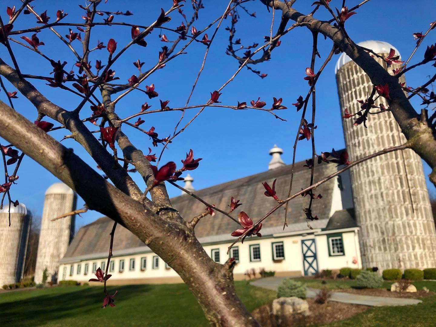 The Wedding Website of Lindsay Greenspan and Patrick Cohen