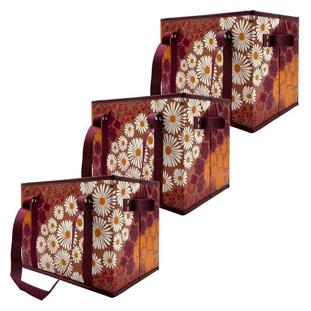 Earthwise Deluxe Collapsible Reusable Shopping Box Grocery Bag Set with Reinforced Bottom Bins Cubes (Set of 3)