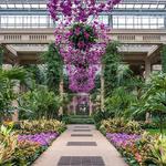 Longwood Gardens