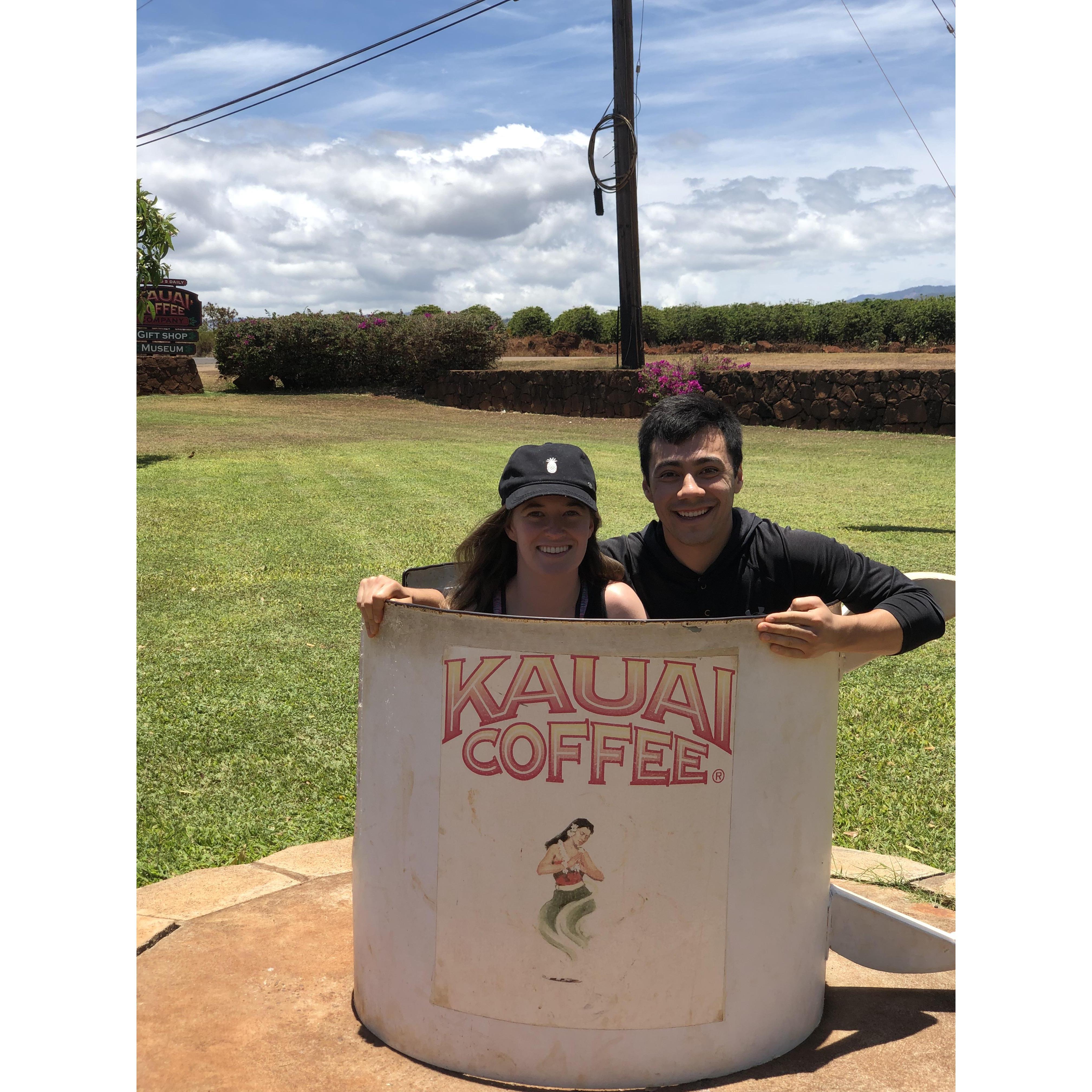 Hawaii with the Tods