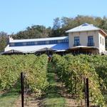 Chandler Hill Vineyards