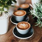 Merit Coffee