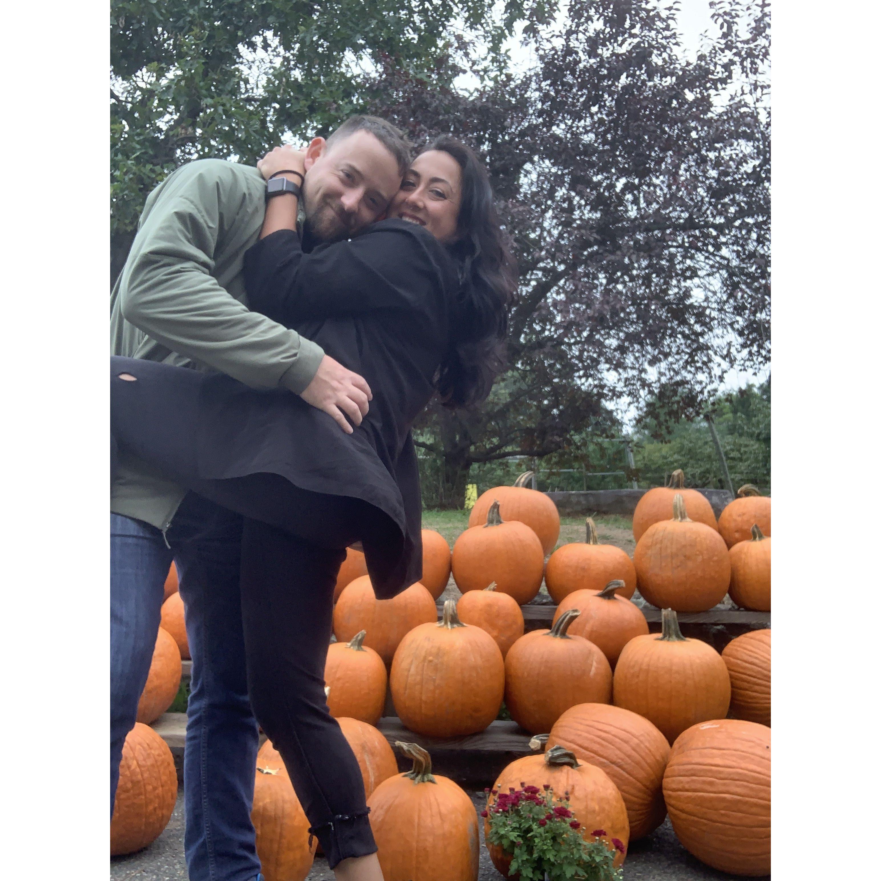 My Pick of the Patch