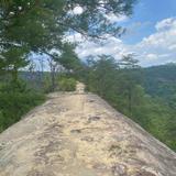 Red River Gorge Ziplines