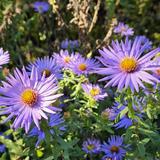 Coastal Maine Botanical Gardens
