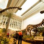 Carnegie Museum of Natural History