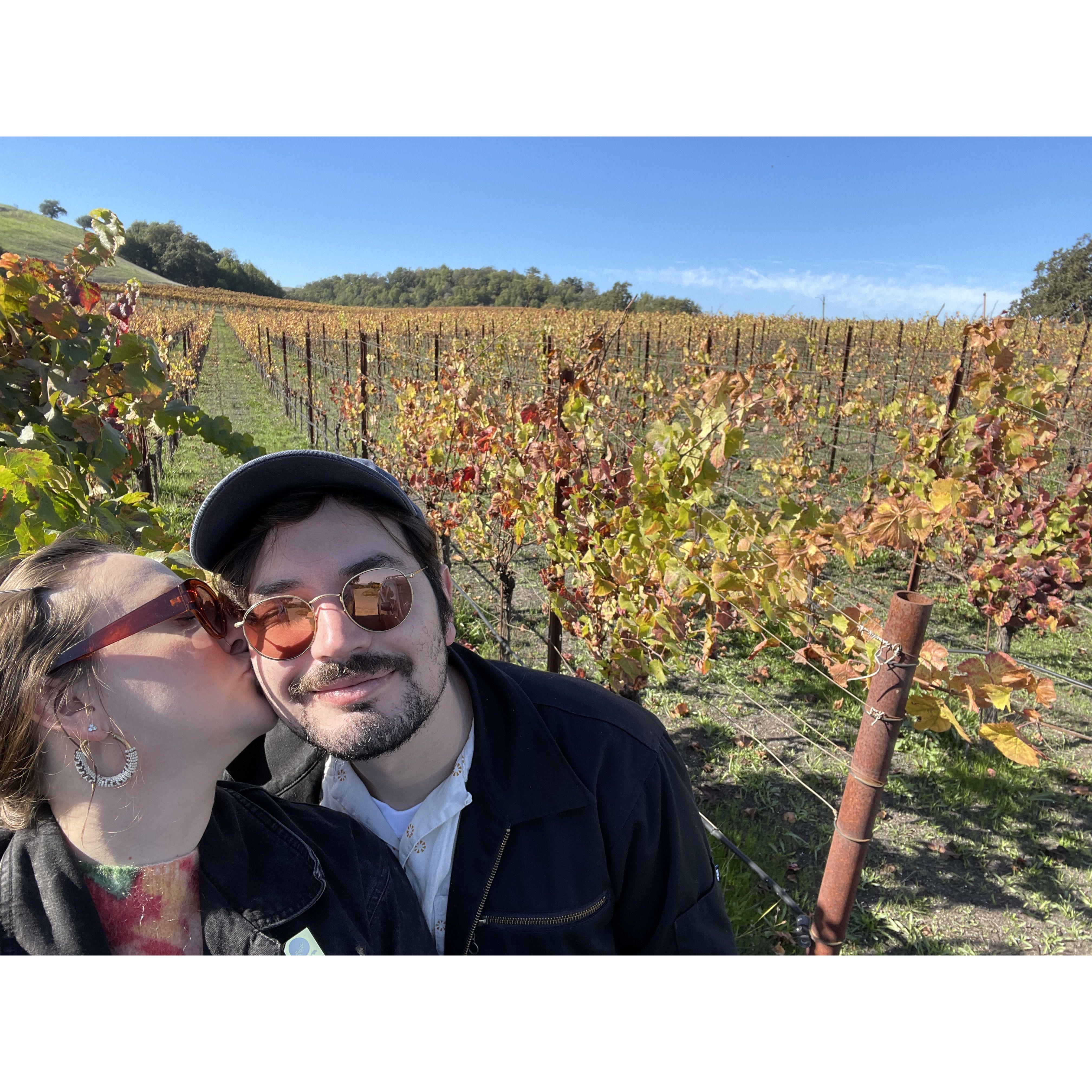 Visiting our wine club in Healdsburg for Alana's birthday