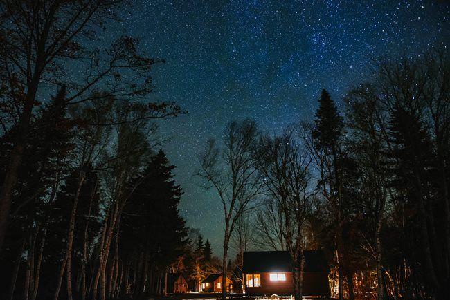 The Wedding Website of Alexandra Miller and Michael Ferris