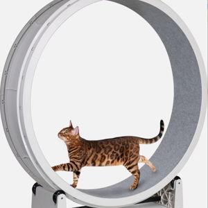 Cat Exercise Wheel, White with Gray Felt Pads