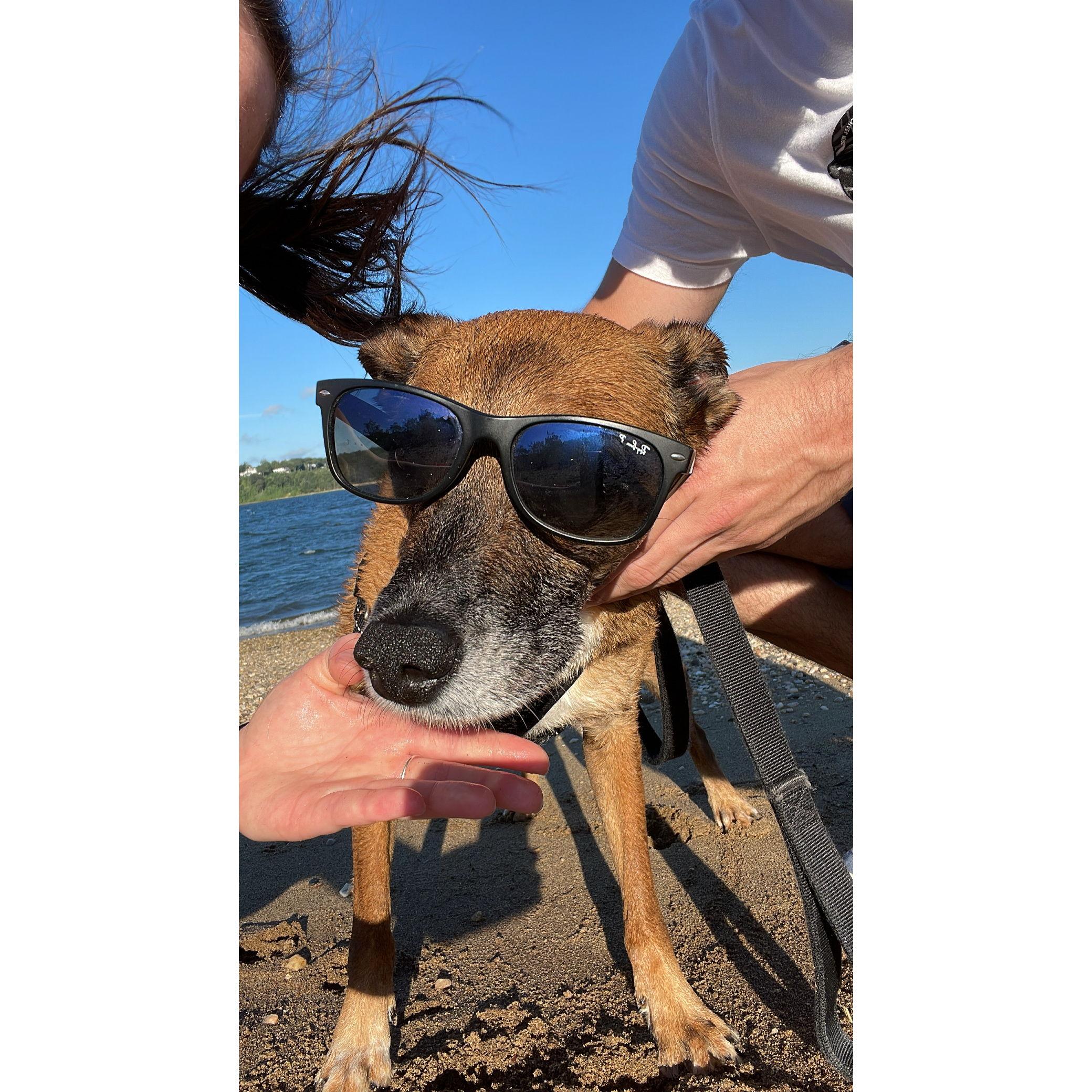 Cool dude