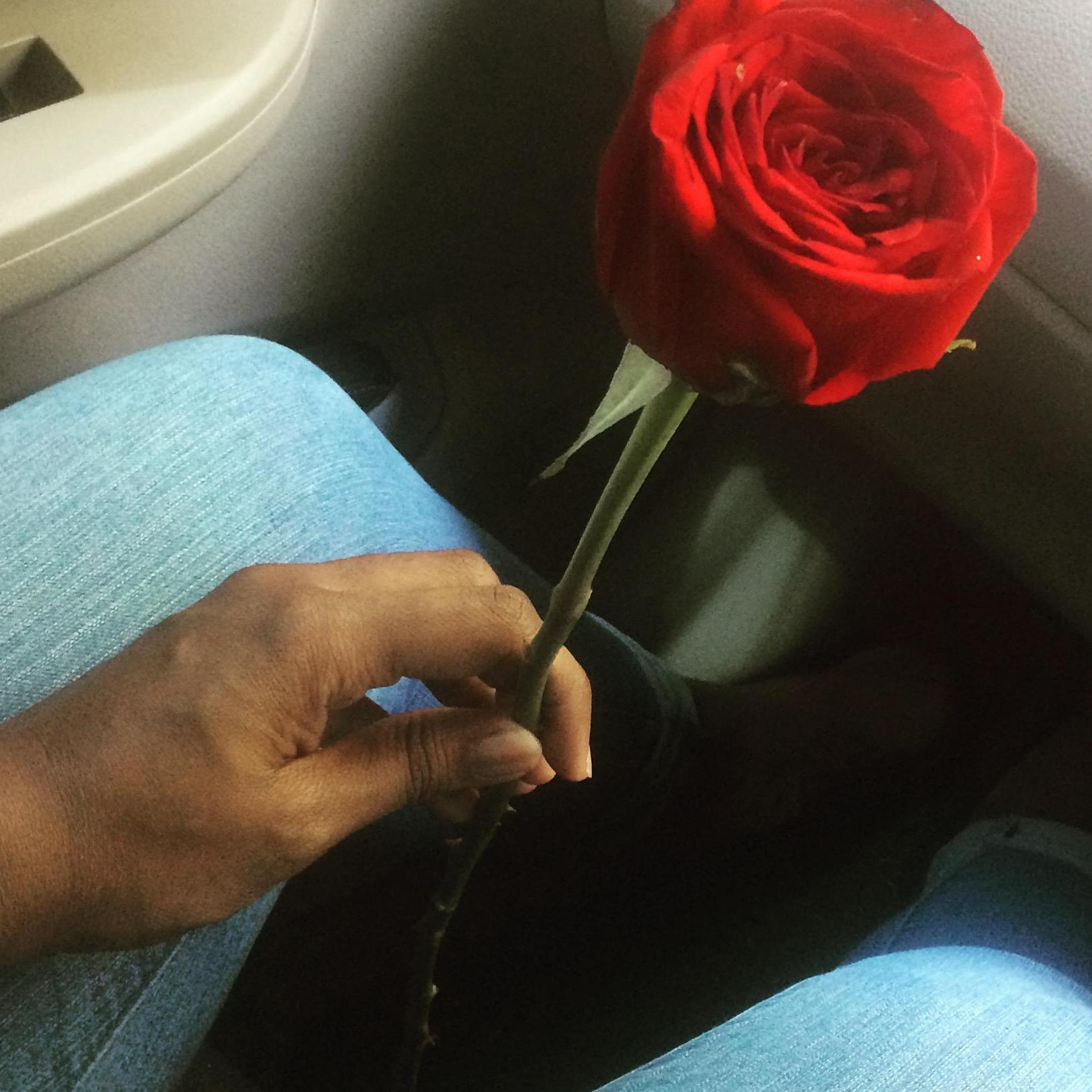 Just a random rose of love <3