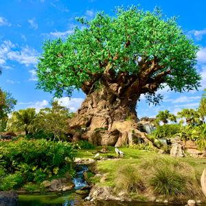 Animal Kingdom Theme Park Admission for Two