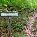 Hiking