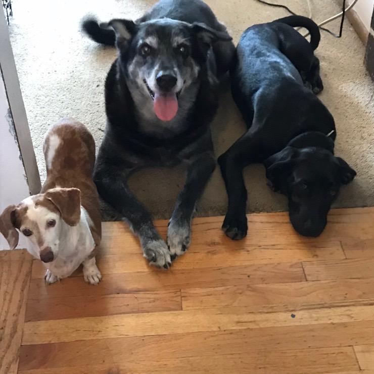 Duthcess, Lilly and Madea