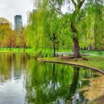 Boston Public Garden