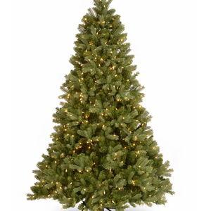 National Tree Company 6.5-Feet Douglas fir Pre-lit Artificial Christmas Tree with Clear Incandescent Lights
