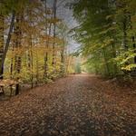 Wompatuck State Park