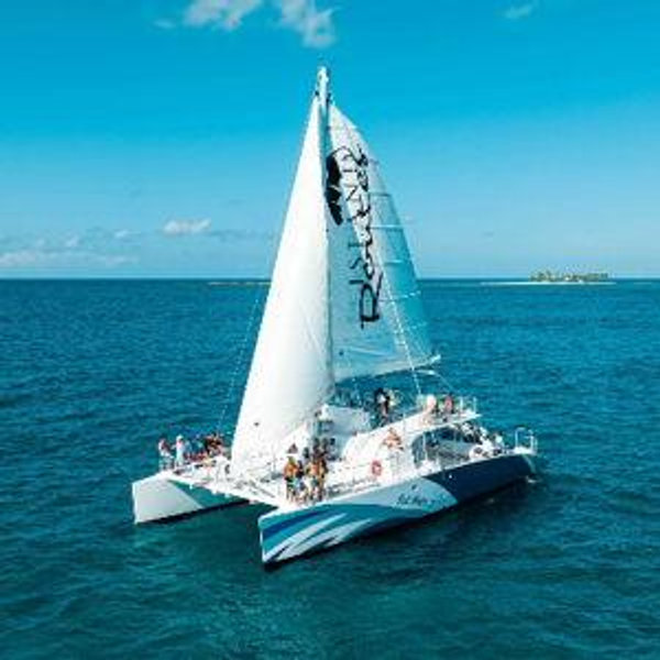Glass Bottom Boat w/ Snorkeling
