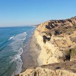 Torrey Pines State Natural Reserve