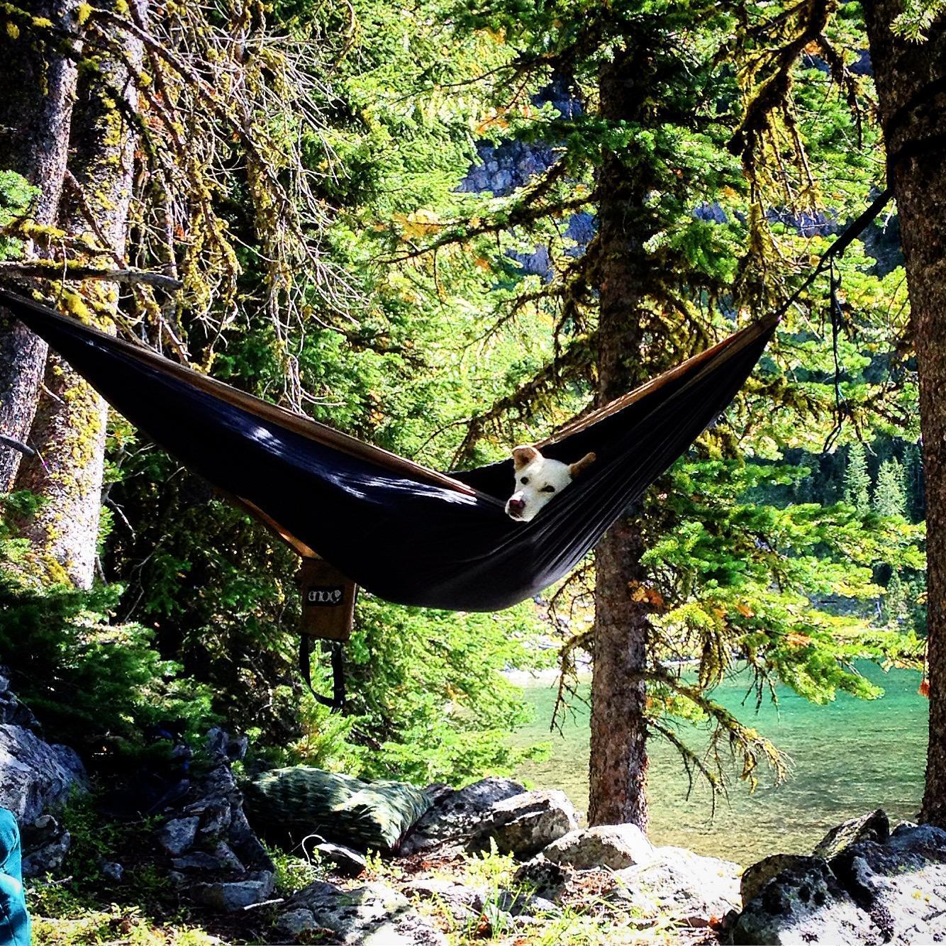 Lindsey and Malo share a favorite activity... hammocking :)