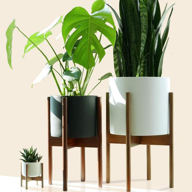 Fox & Fern Mid-Century Modern Plant Stand - Acacia - EXCLUDING 10" White Ceramic Planter Pot