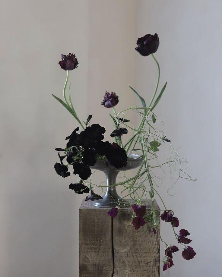 The Wedding Website of Sarah Wong and Eva Massey