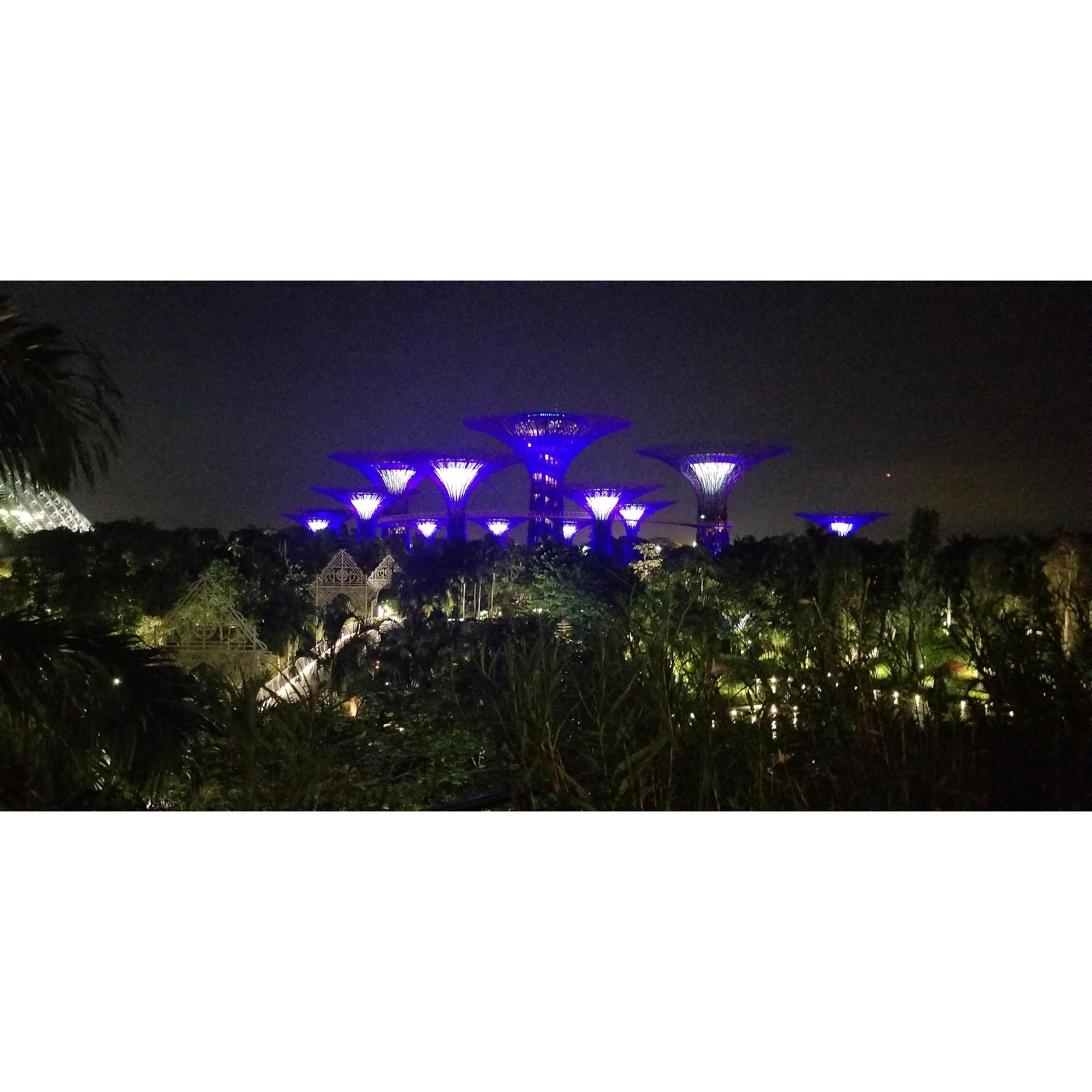 The park in Singapore.