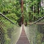 Sequoia Park Zoo