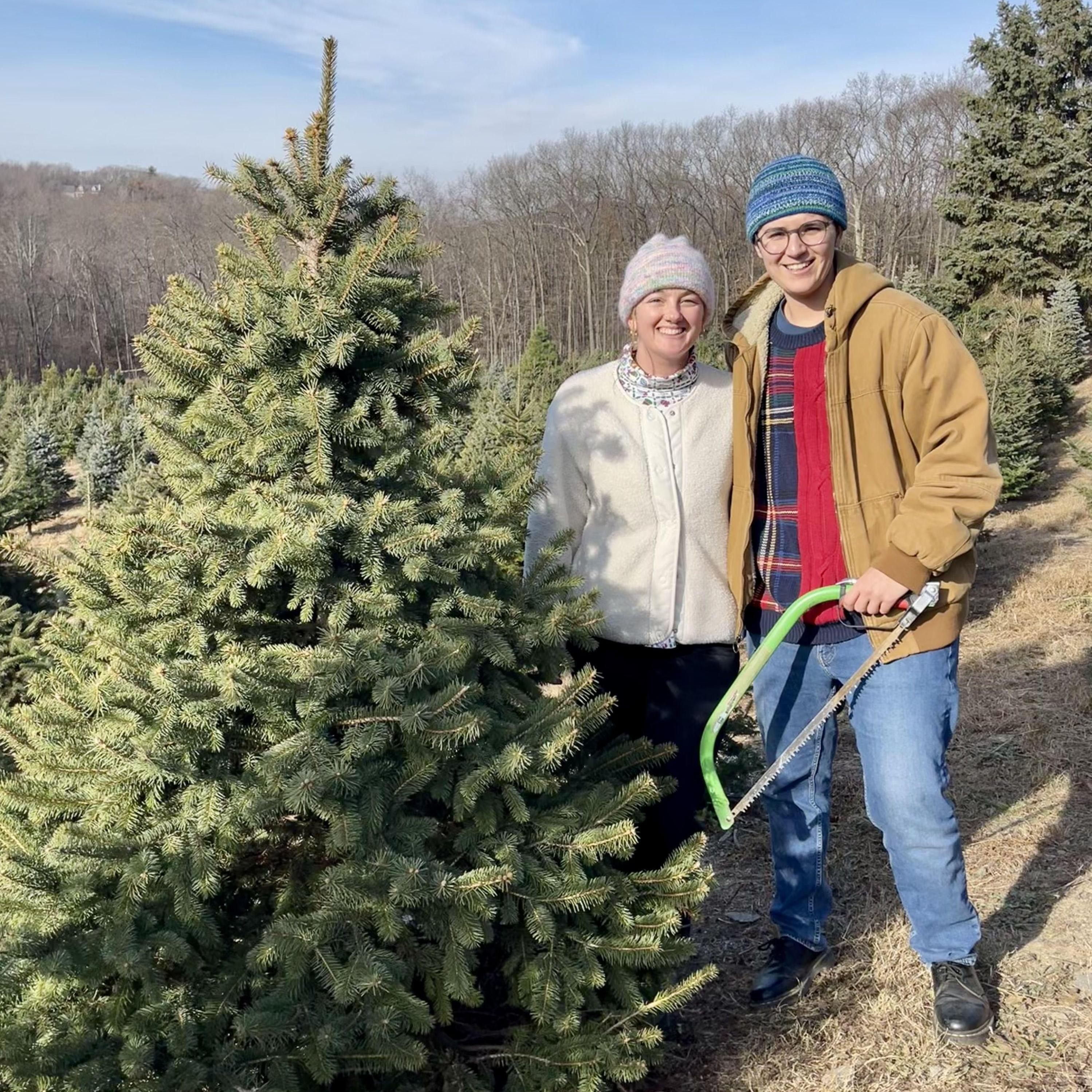 we're yelling timber