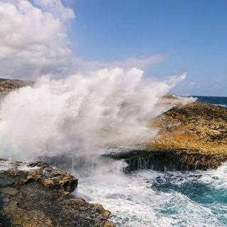 Turtle Outback & Snorkel Safari Tour for 2 - Curacao