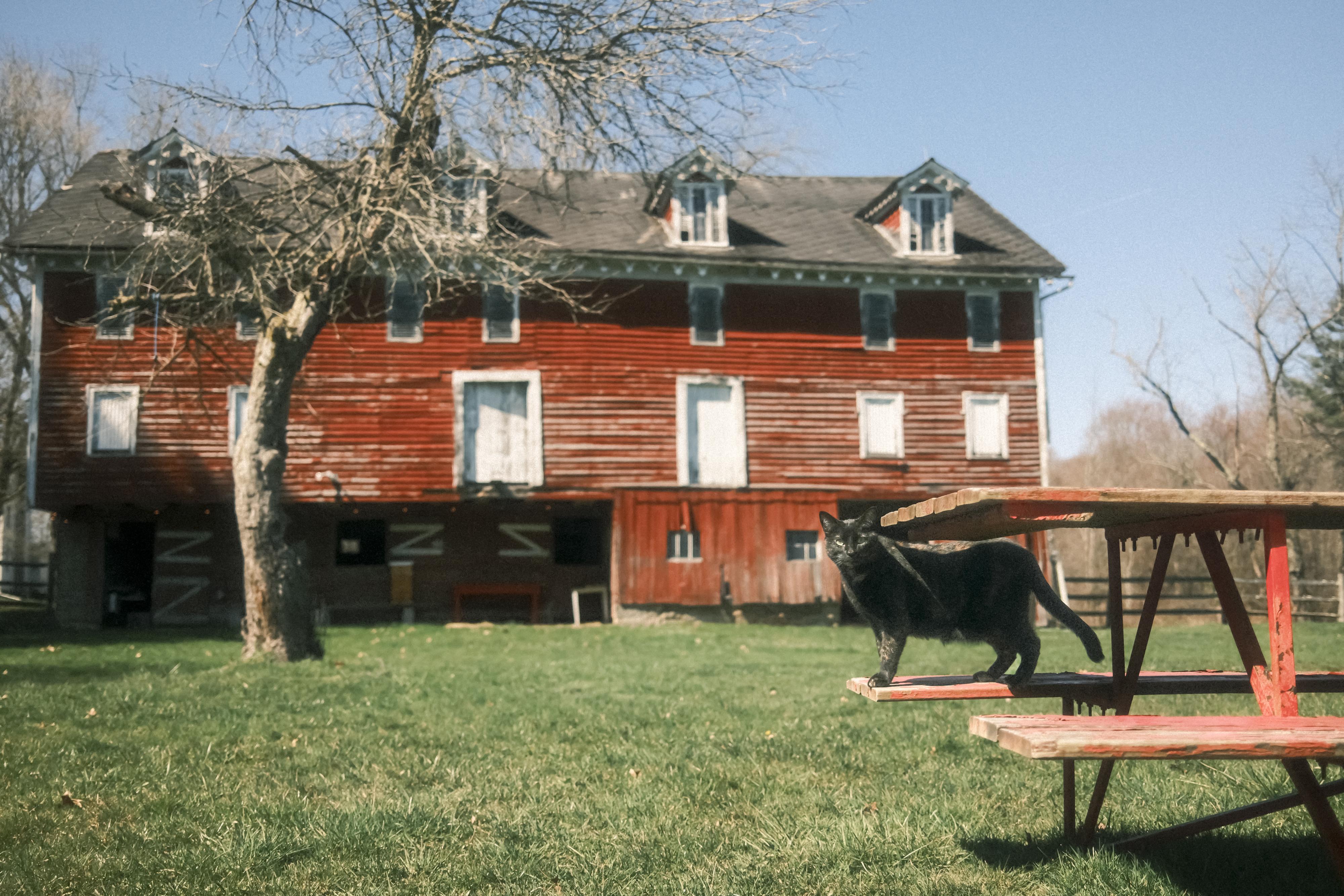 The Wedding Website of Ashley Mateer and Brian Keith