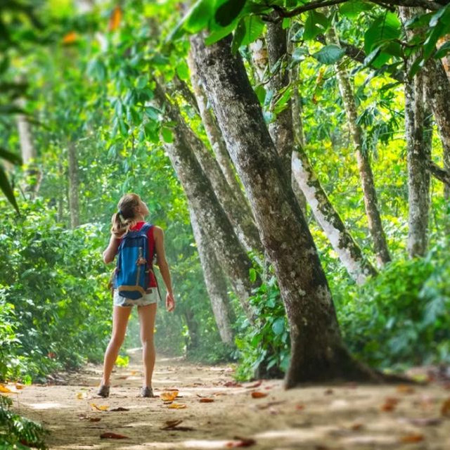 Rainforest Adventure in St. Kitts & Nevis