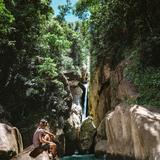 El Yunque National Forest