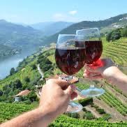 Wine Tour