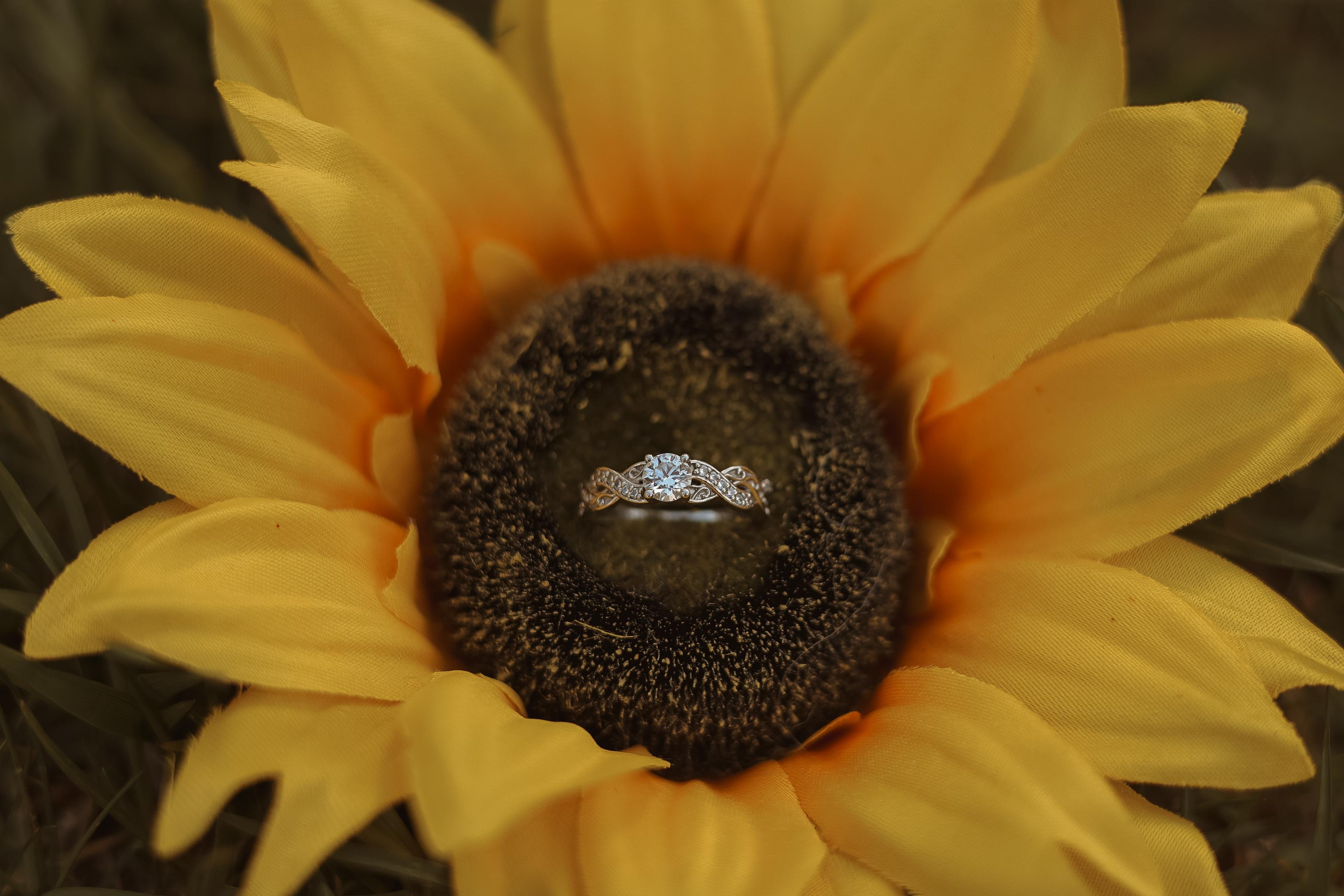 The Wedding Website of Ahnica Shoemaker and Mark Yarbrough