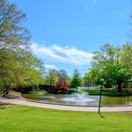 Freedom Park