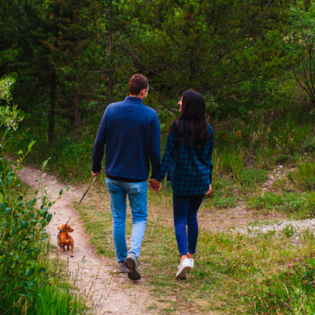 Engagement 2020